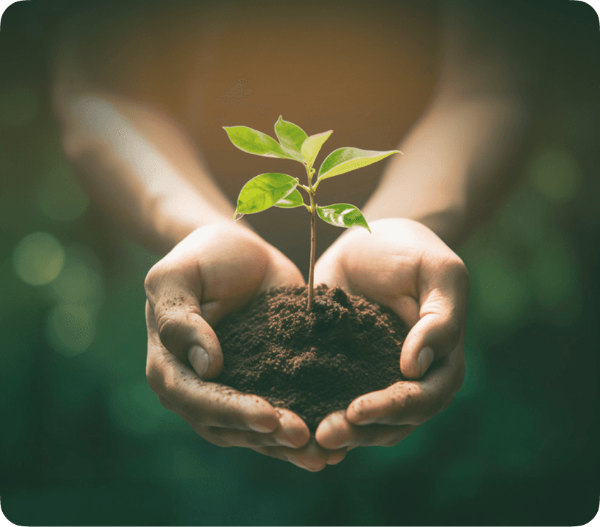 Conservation LNT Section Image