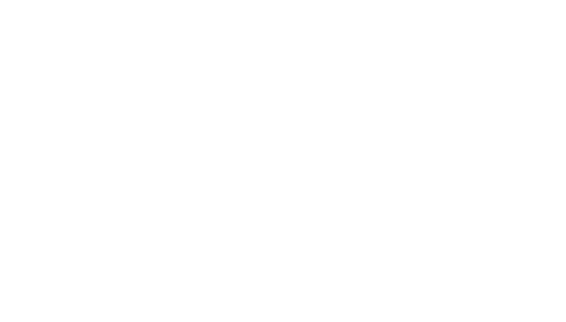 LNT logo